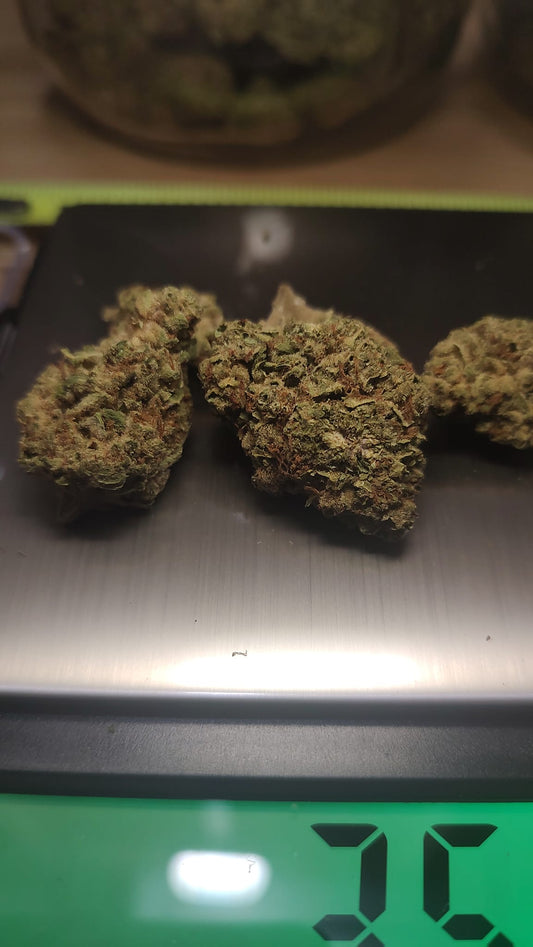 OG Chem (28.26%)